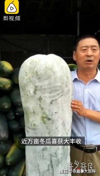 吃瓜四大网红,揭秘吃瓜四大网红的传奇故事 第3张 吃瓜四大网红,揭秘吃瓜四大网红的传奇故事 第3张